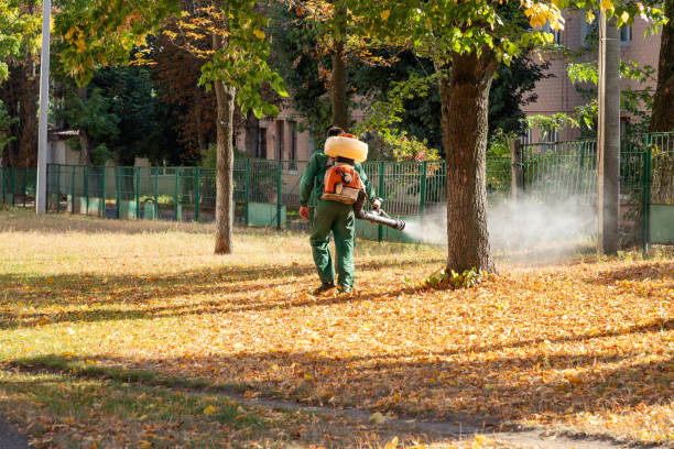 Professional Pest Control in Heber Springs, AR